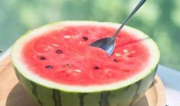 吃瓜网官网免费观看